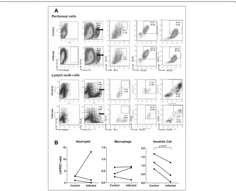 Figure 2 Phenotypic analysis of Ly5.1+ cells that migrated from the peritoneum to the LN after Leishmania infection