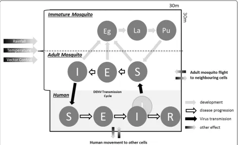 Figure 3 Schematic representation of a single model cell.mosquito flight characteristics are calculated for each cell