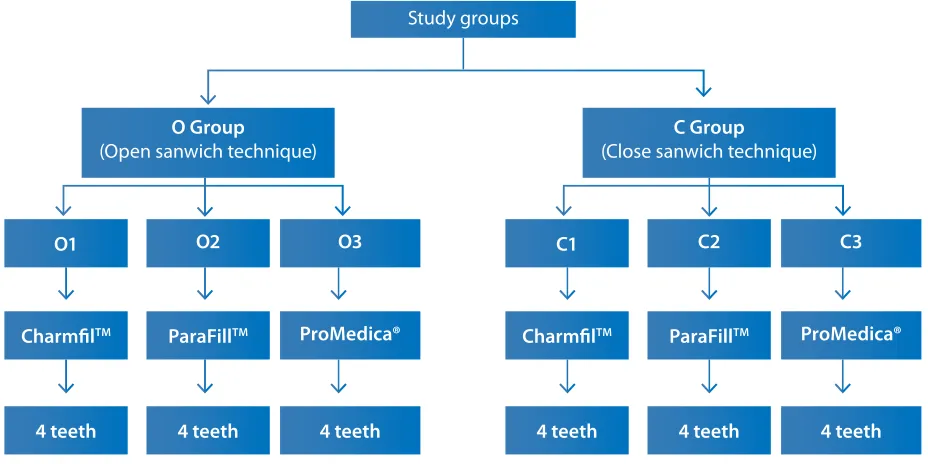 Figure 1:  Flow chart of the techniques and types of resins used in the study.