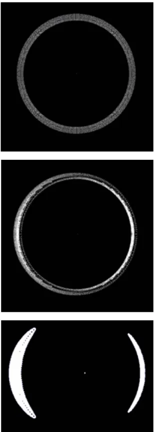 Fig. 6: Simulated photographs of gravitational  lensing due to the SAEM of Fig. 4. 