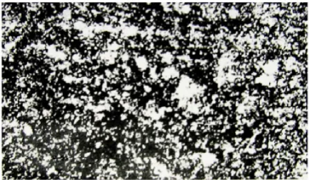Figure 3. Micrograph of the deluvium, x125. Structure – blastopel-itic, texture – spotted