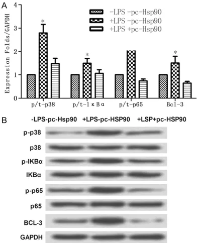 Figure 5. Detect the expression level of p38MAPK/NF-κB signal pathway related factors