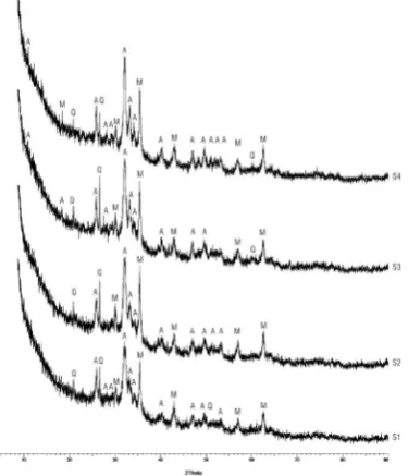 Figure 1. SEM of sewage sludge ash.