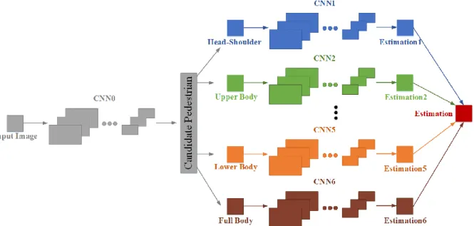 Fig. 5.  Architecture of the proposed deep pedestrian detection method based on parallel DCNNs to extract feature maps of different body  parts.