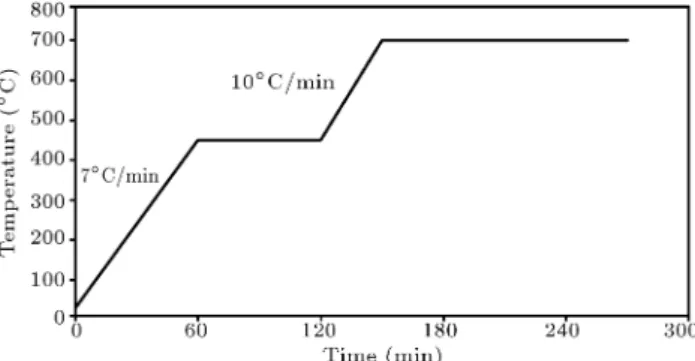 Figure 1. Thermal program of debinding and calcining.