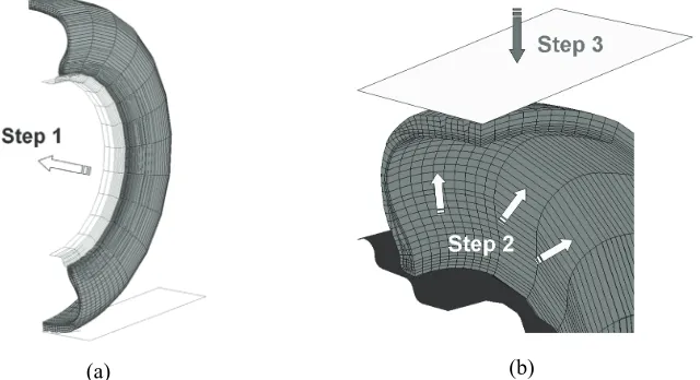 Fig. 3. Axysimmetric tyre model of the full tyre cross-section. 