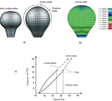 Fig. 3. Urinary bladder deformation. a) Initial and deformed configuration before activation; b)Field of effective strain, 2e=3e eijij,  at the end of filling (activation); c) Pressure-volume relationship obtained using Fung’s nonlinear elastic 2D model