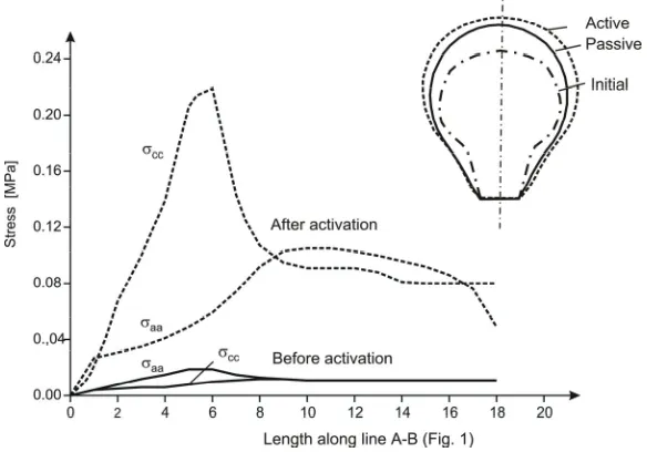 Fig. 4. Distribution of axial (σaa) and circumferential (σcc) stresses along the line A-B shown in Fig