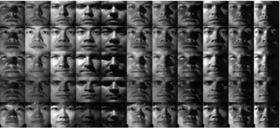 Fig. 6. Sample images from Extended Yale B database chose  the  former  40  images  per  person