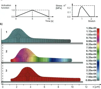 Fig. 4. Crawling of cell over a flat surface (2D plane strain conditions in plane x-y)
