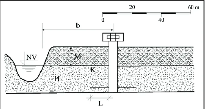 Fig. 1. Model of Ranney well. 