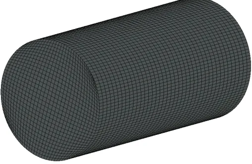 Fig. 2. Finite element mesh used for the electro-stimulation modeling, 60000 3D 8-node finite elements