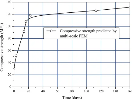 Fig. 8. Evolution of compressive strength. 
