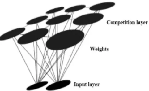 Figure 1. SOM topology structure [33] 