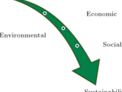 Figure 1. Schematic view of sustainability dimensions considered in this study.