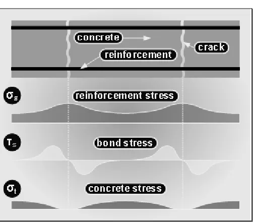 Fig. 6. Tension stiffening as a consequence of concrete-reinforcement bond stress distribution