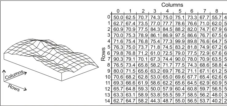 Fig. 1. DEM representation using regular grid 