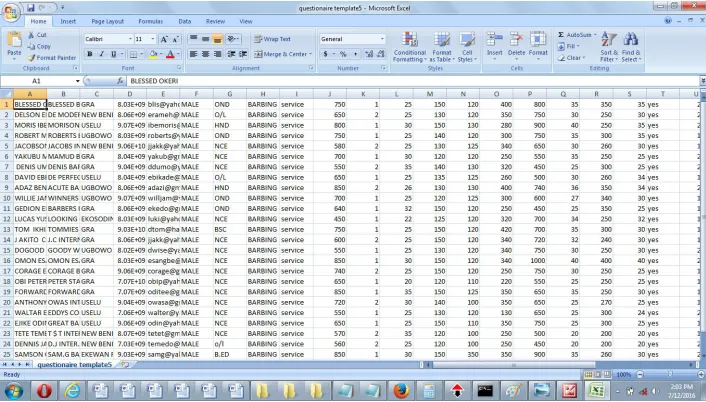 Figure 4: Sample tax payers’ data in Microsoft Excel format 
