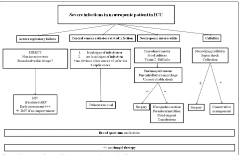 Figure 1 Management of severe infections in neutropenic patients in ICU.
