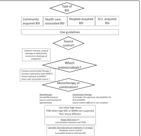Figure 1 Decision tree including main determinants guiding the choice of the most appropriate antimicrobial therapy