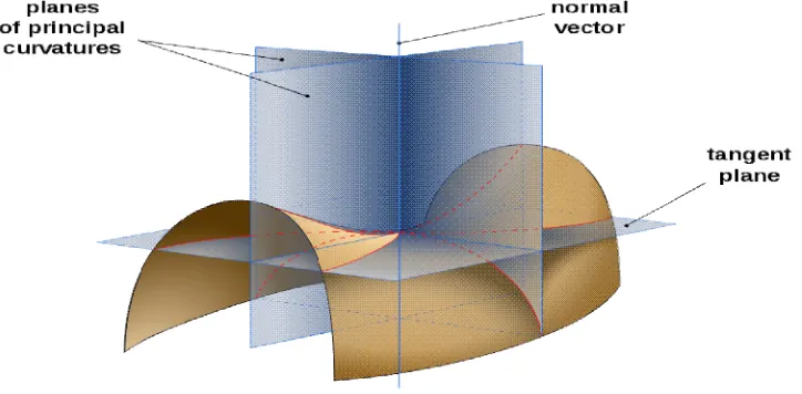 Figure 4: View of the Planes Establishing the Main Curvatures on a Minimal Surface2 