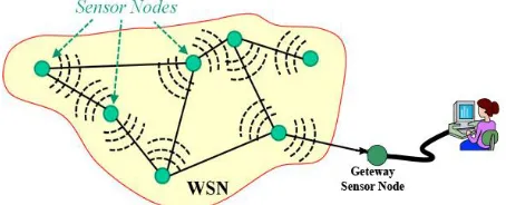 Figure 1: Wireless Sensor Network Scenario  