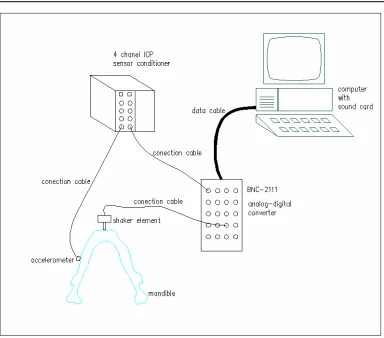 Figure 1. Experimental device for measurement of damping. 