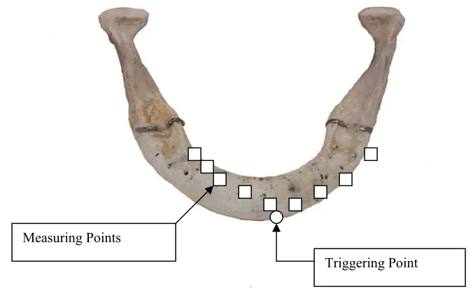 Figure 2. Triggering and measuring points. 