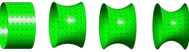Figure  4. A model (hollow) cylinder 