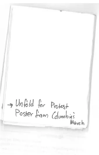 Figure 4.31 Leia Protest Poste