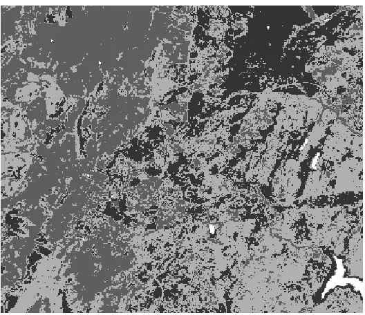 Fig. 12. Water, vegetation and build-up indexes applied to the original image. Light gray color is associated to vegetation, white to water, dark gray to mixed, and black to soil covers