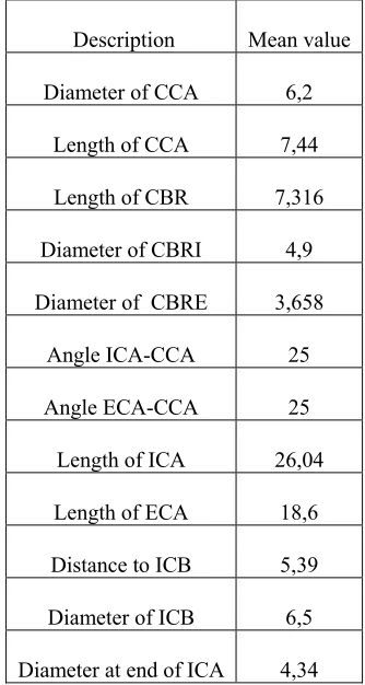 Table 1. Dimensions of human carotid artery bifurcation 