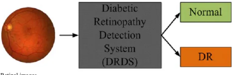 Fig. 2. Descriptive model of the proposed system (DRDS) 