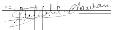 Figure 3.2: Horizontal Splitting of Signature Image  