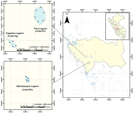 Figure 1. Location of sampling stations in the lagoons evaluated