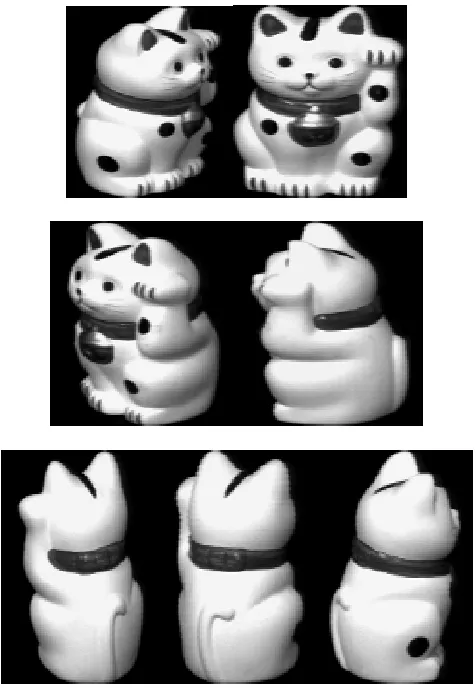 Fig. 2. Training images of the fourth objects sampled by every 500 