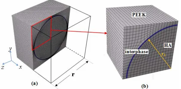 Fig. 1. Micro-scale cell model (a) RVE; (b) 1/8 RVE. 
