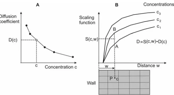 Fig. 2. Determination of diffusion coefficient at a spatial point P using dependence on concentration and surface effects