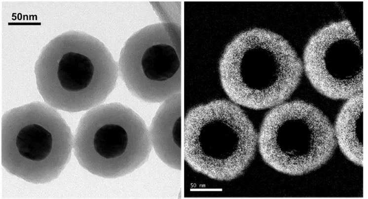 Fig. 2. Energy Filtering TEM (EFTEM) Mapping of Au/Silica core/shell nanoparticles used for biomedical applications; left: zero loss image and right: silicon map