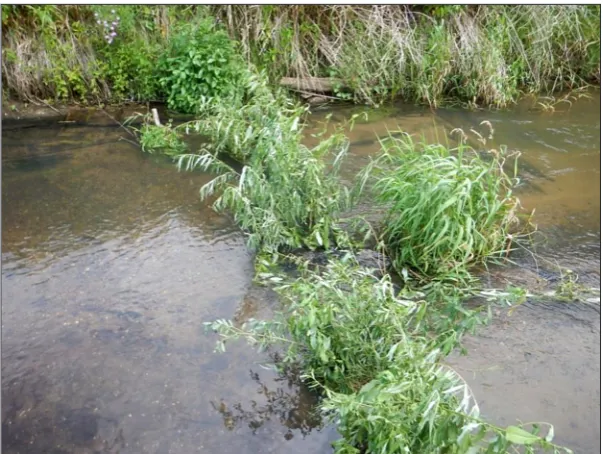 Figure 5. Plant Basket Hydraulic Structures on the Flinta River