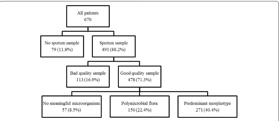 Table 2 Sputum samples evaluation according to patient backgrounds