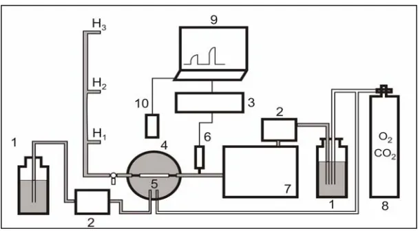 Fig. 2. Schematic diagram of the System for Biomechanical and Functional Tissue bath; 5