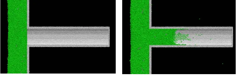 Figure 5.1 shows snapshots of the simulations. Initially, the CNT-fluid solution is allowed to 