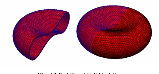 Fig. 4.1 Red Blood Cell Modeling 
