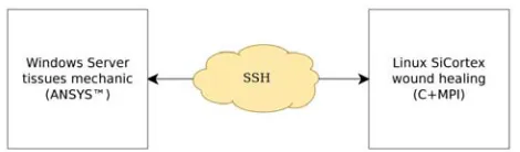 Fig. 4. A Simple Heterogeneous Distributed Computing Implementation 