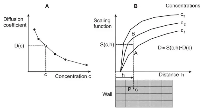 Fig. 2. Determination of diffusion coefficient at a spatial point P using dependence on concentration and surface effects