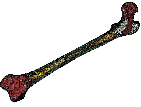 Table 1. Material Properties assigned to femur 