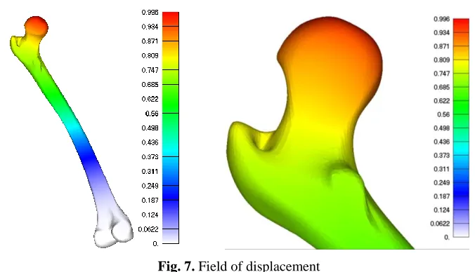 Fig. 7. Field of displacement 