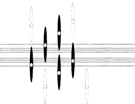 Figure 1.07: Parallel fibres run parallel to each other but perpendicular to the Purkinje cell dendritic arborisation -  This schématisation depicts the arrangement of parallel fibres relative to Purkinje cells