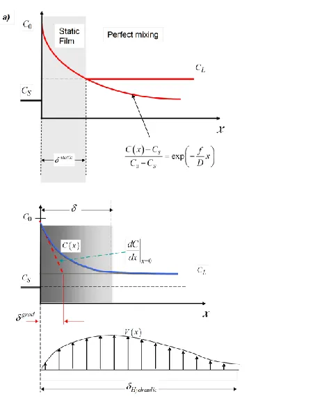 Fig. 2.a) Static film and perfect mixing regions  in BPS.  b) Actual concentration profile and its gradient used by Levich